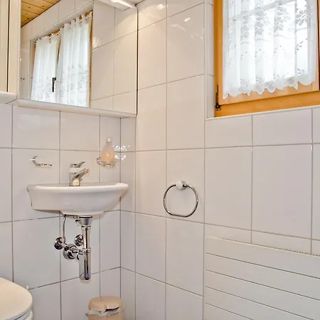 Schneerose - Griwa Rent Ag *