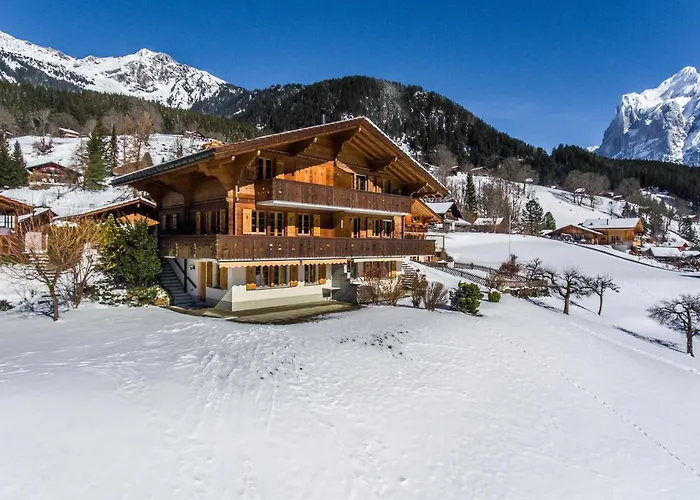 Schneerose - Griwa Rent Ag