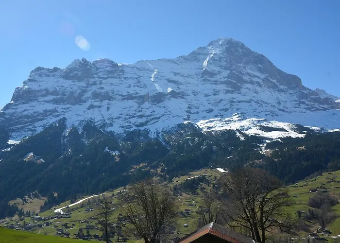 Schneerose - Griwa Rent Ag 아파트 *